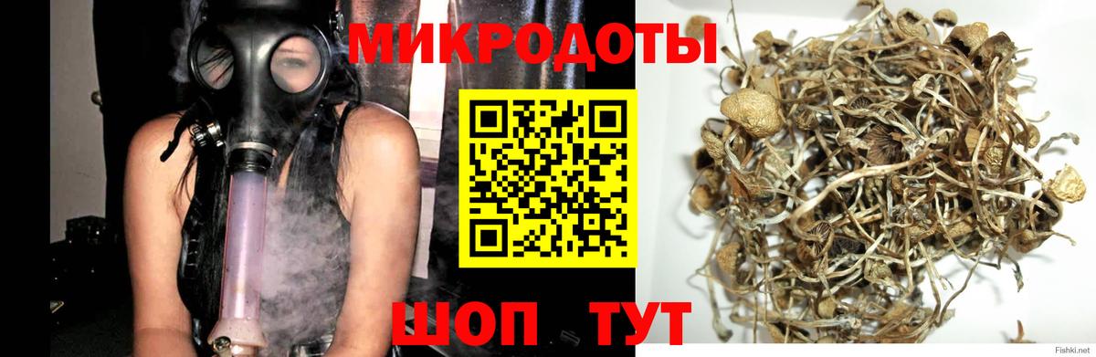 Борисоглебск  Галлюциногенные грибы Magic Shrooms  Вход с VPN 